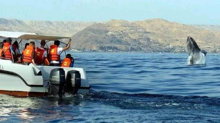 Casa Entre Rocas Y Veleros Villa Los Órganos Eksteriør billede